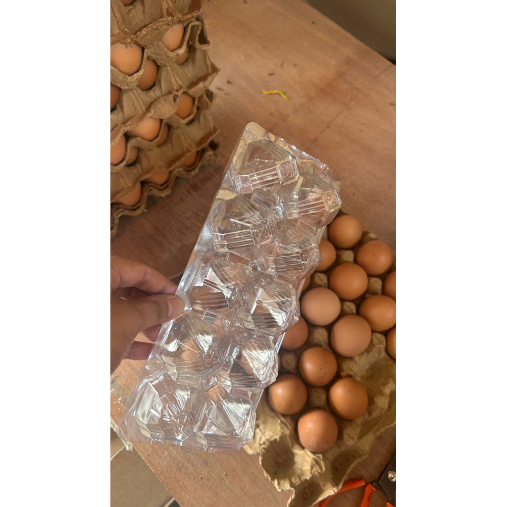 Mika telur isi 10