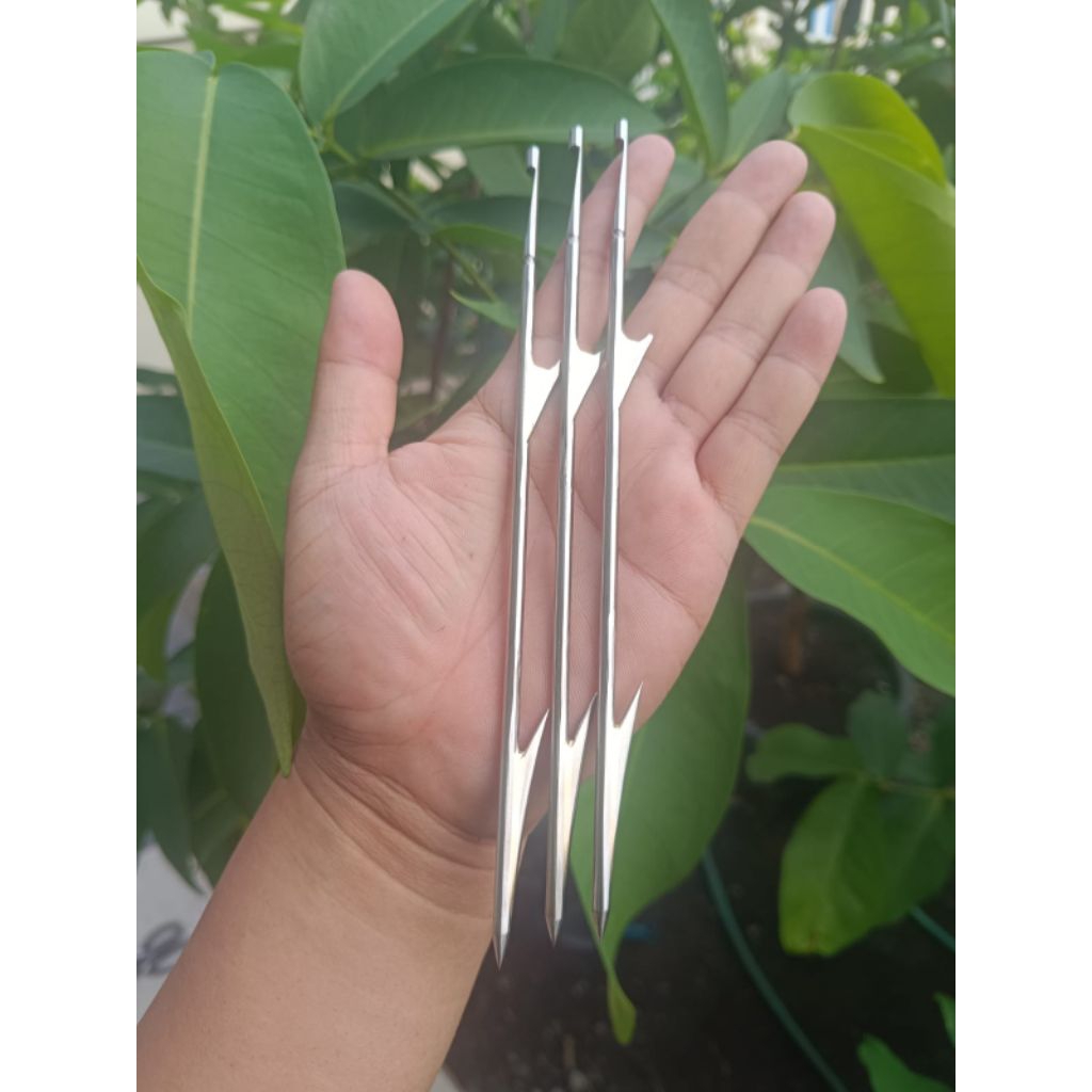 MATA PASER KETAPEL IKAN MATA PASER KETAPEL MODERN