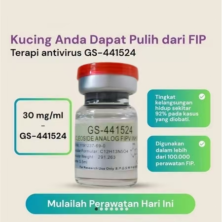 Obat FIP Kucing - Obat FIPV Kucing - 30mg/ml 6ml cat fip injection vial