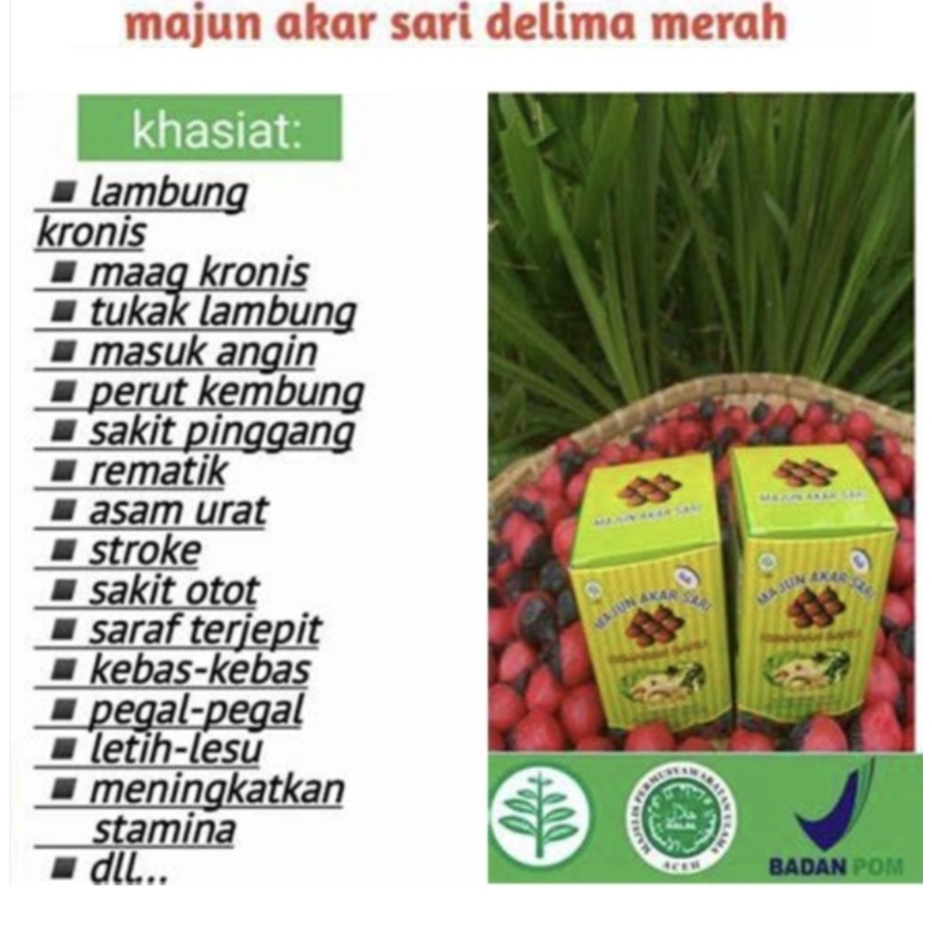 majun akar sari lambung