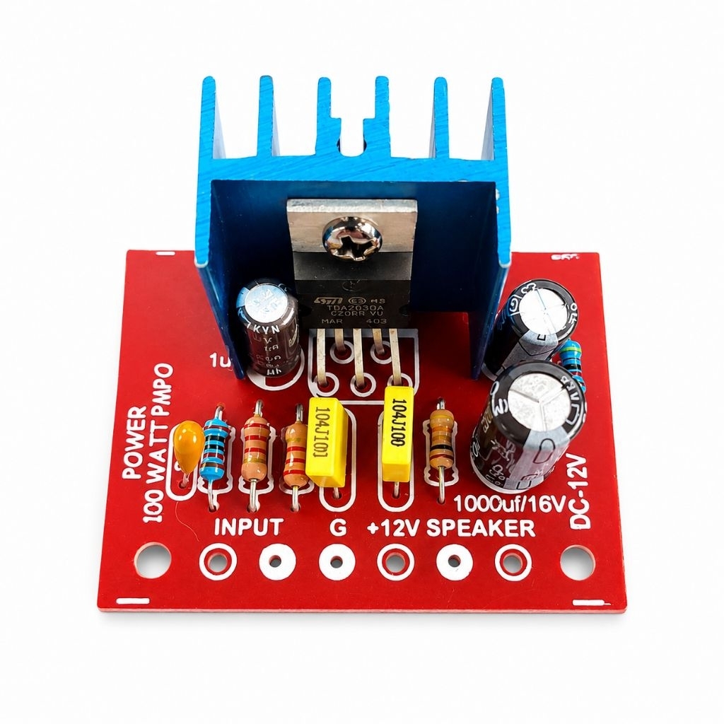 Power Amplifier Mini 100 Watt Mono 12V