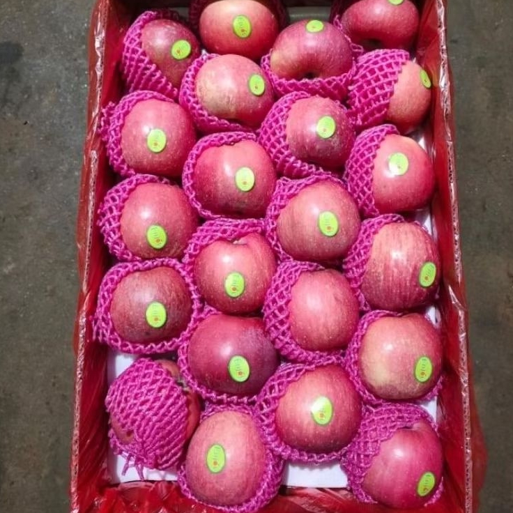 Apel Fuji Dusan 17kg