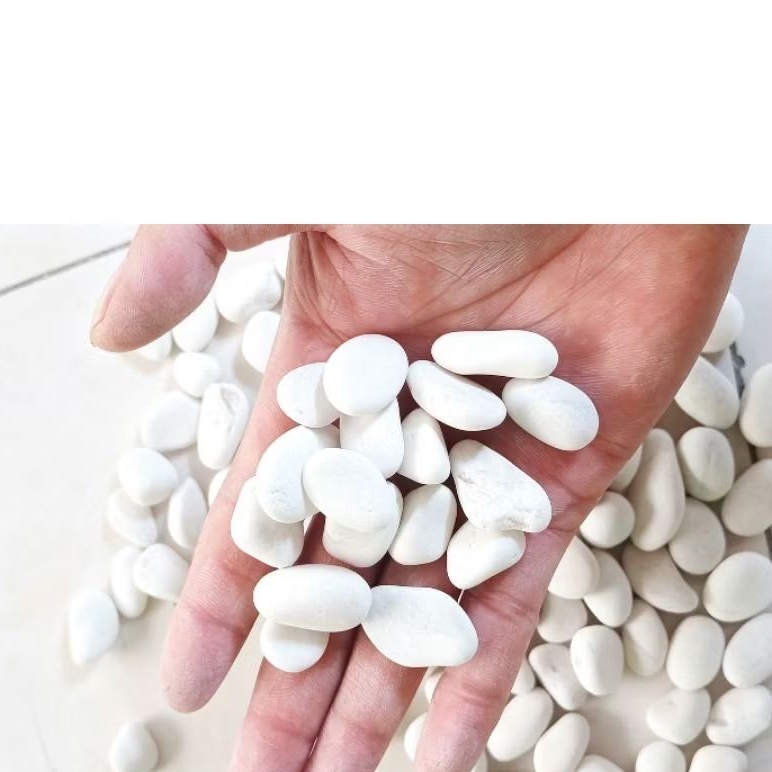 Batu koral putih paling kecil 10kg/Batu putih/Batu taman/Batu hias/Batu sikat/Batu koral