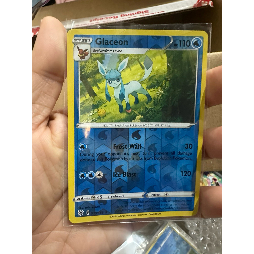 glaceon, eevee, mimikyu holo, mewtwo holo, dragonite  holo, gengar biasa magmortar holo kartu pokemo
