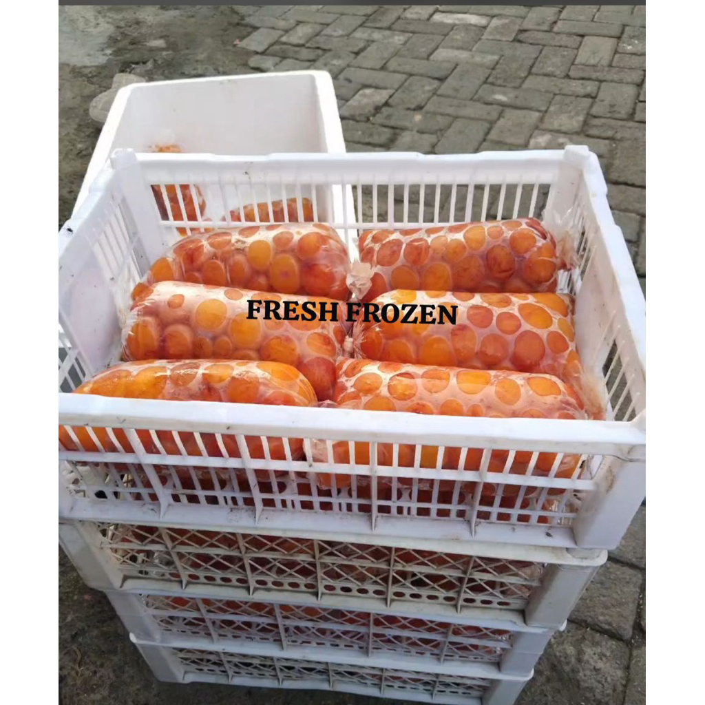 TELUR MUDA / URITAN MURNI 1KG