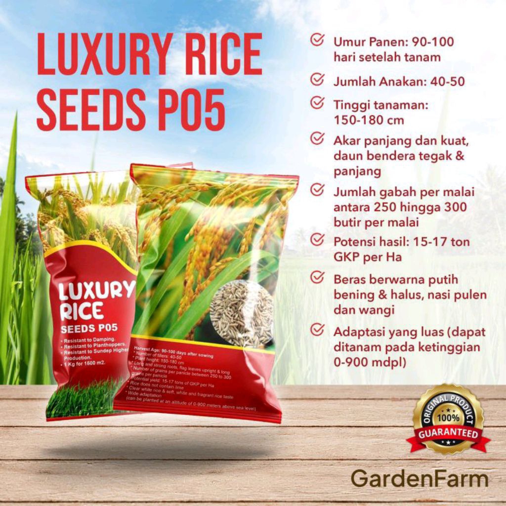 Benih Padi P05 (3kg) - Bibit Padi Unggul - Bibit Padi Sawah - Benih Padi Premium