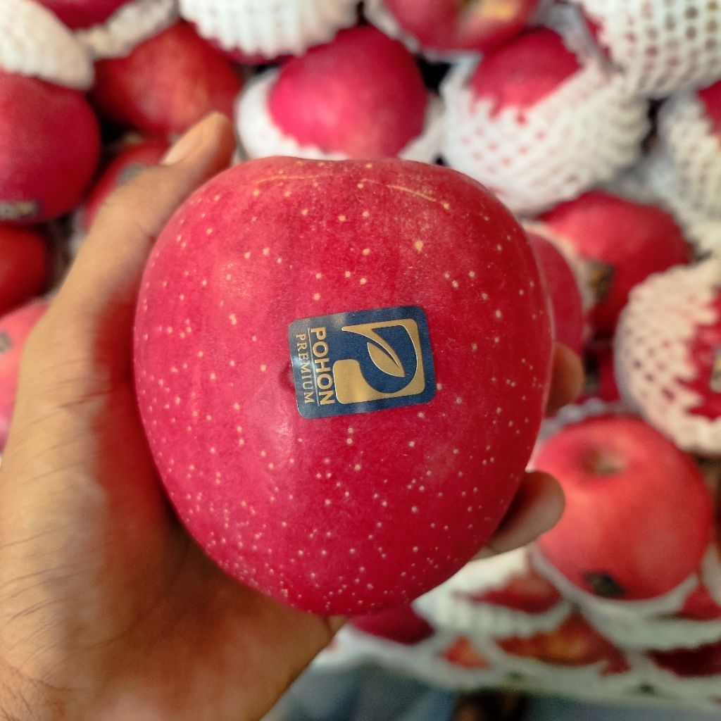 Apel fuji pohon super premium 1kg - manis fresh super import premium