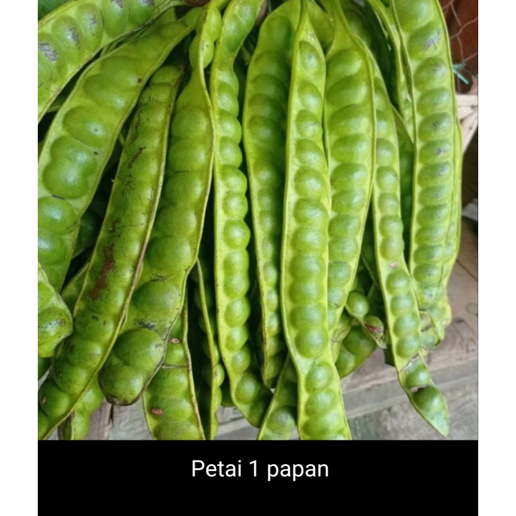 Petai 1papan/ sayur petai 1 papan