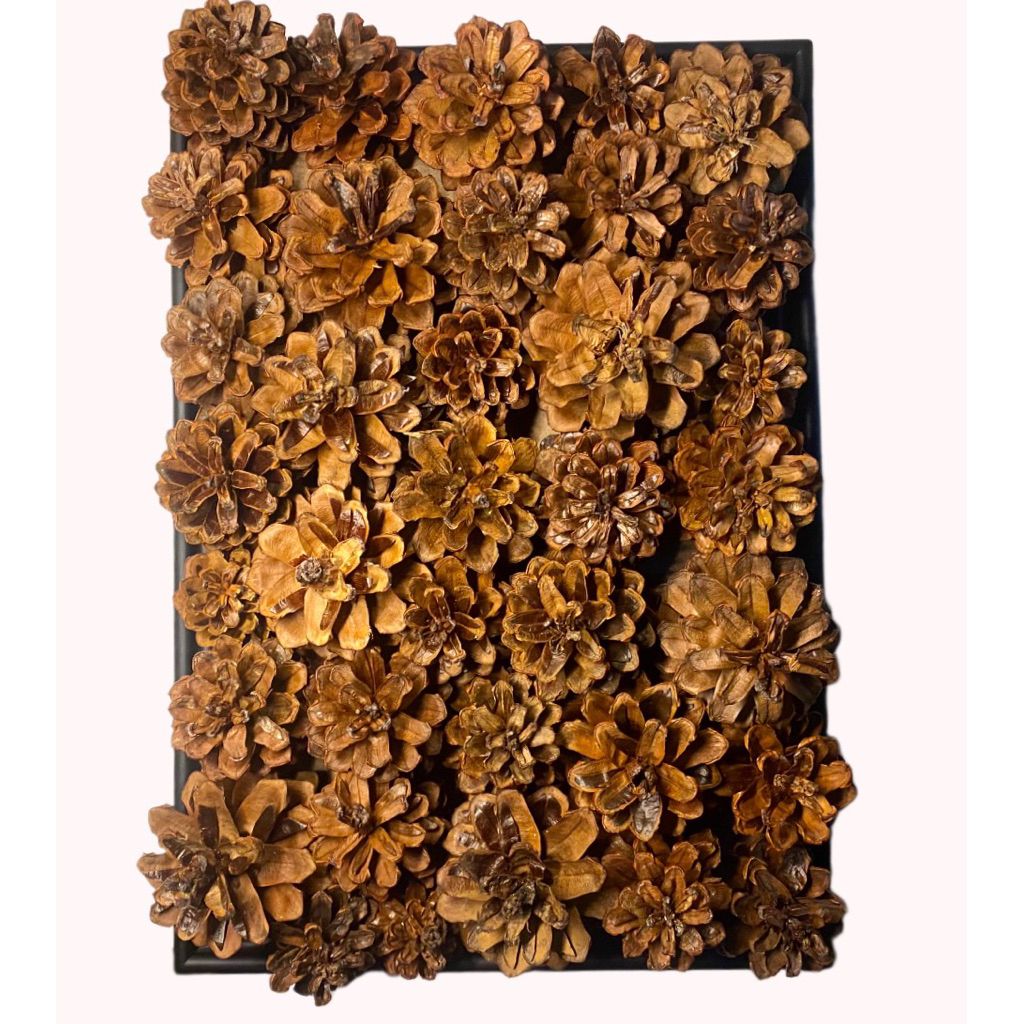 Hiasan Dinding Biji Pinus / Buah pinus
