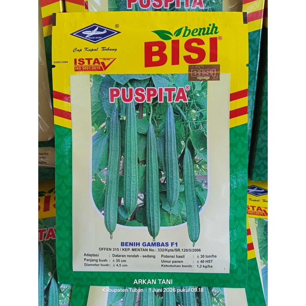 BENIH GAMBAS F1 / OYONG PUSPITA 10 GRAM - CAP KAPAL TERBANG