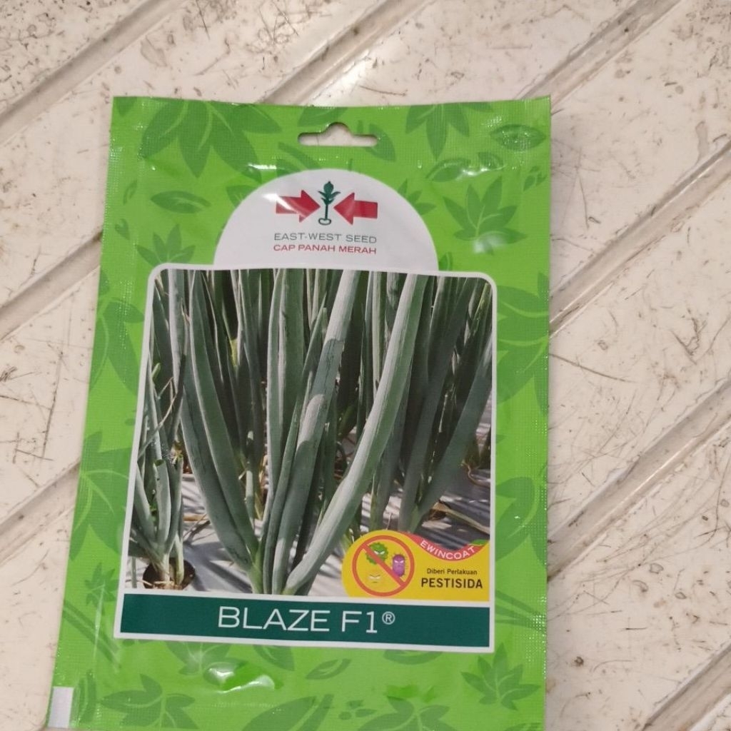 Benih Daun Bawang Blaze F1 800 butir