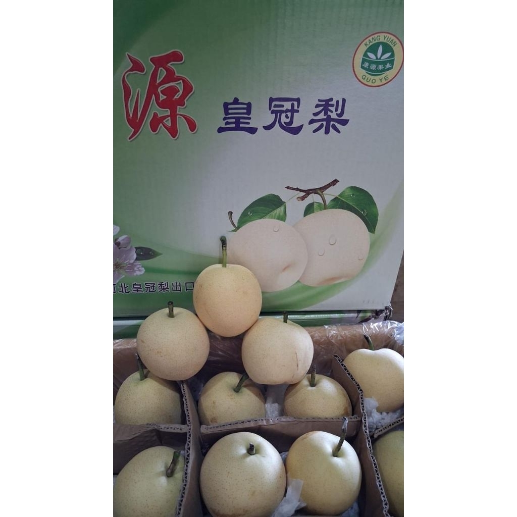 buah pear century madu