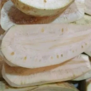 Nangka Muda 1kg