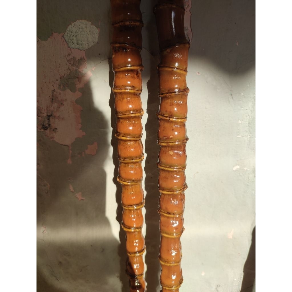 Bambu Cendani