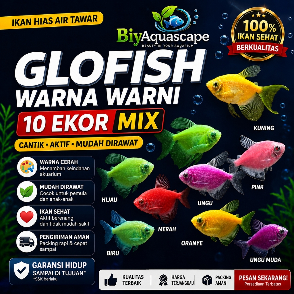 10 EKOR IKAN HIAS GLOFISH TETRA MIX