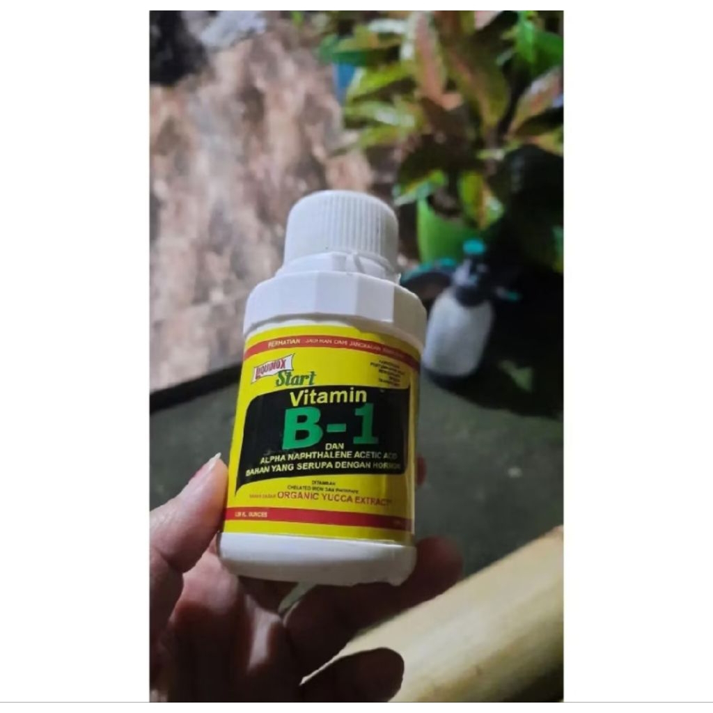 Vitamin Tanaman B1