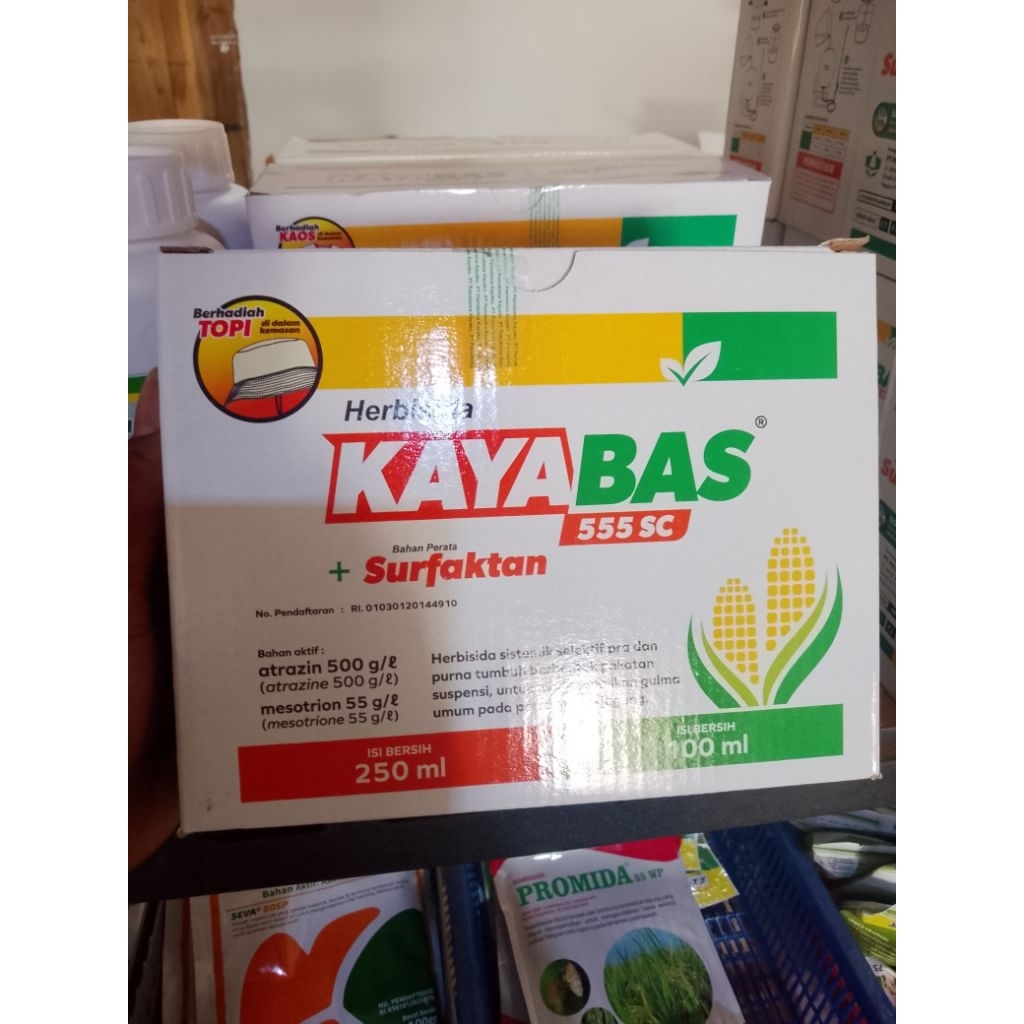 herbisida kayabas selektif jagung