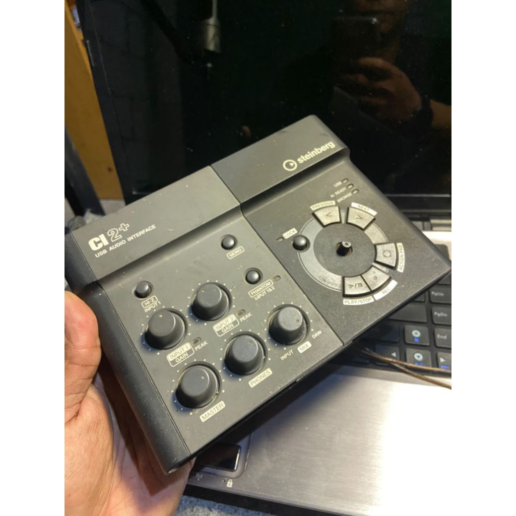 steinberg ci2+