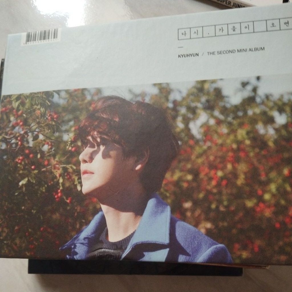 Preloved KYUHYUN – Fall, Once Again (2nd Mini Album) Official Album + Photocard