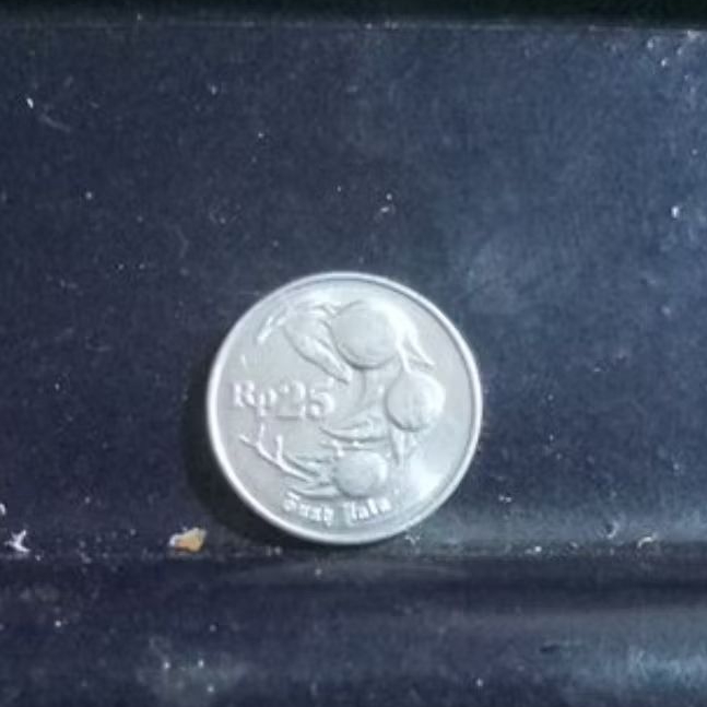 koin 25 rupiah 1991 buah pala