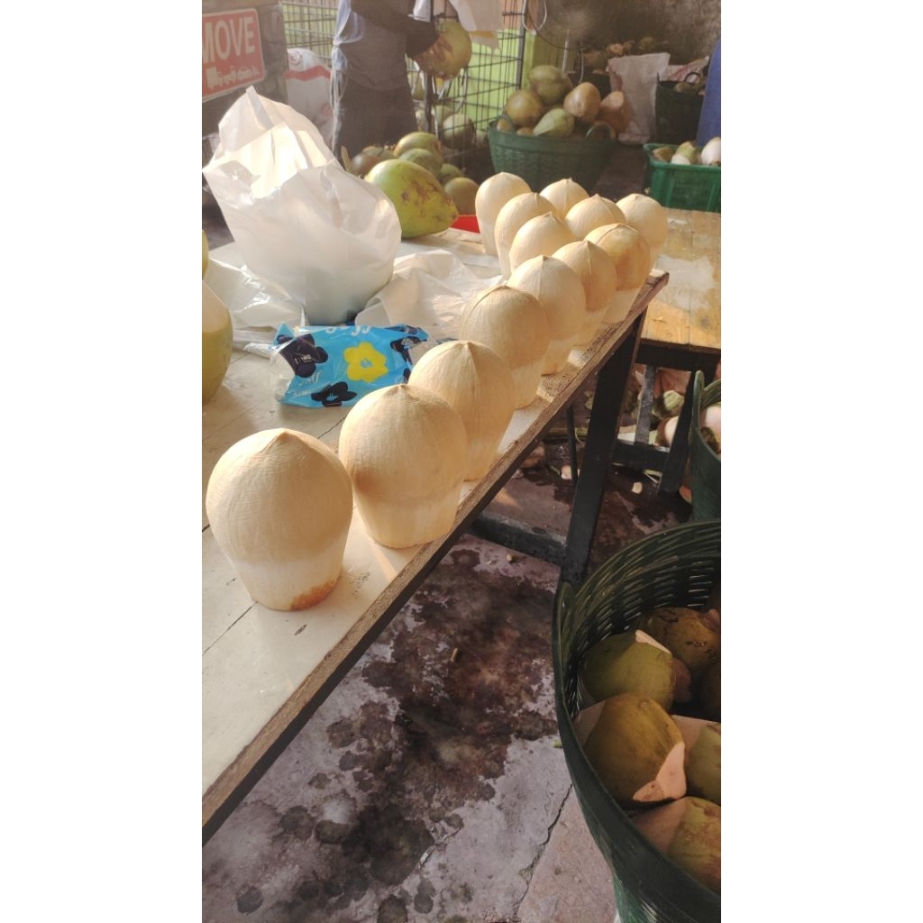 Kelapa Muda ala Thai Kupas Batok / Botak Untuk buat Puding atau jelly, Kue, Dessert Klapertart isi d