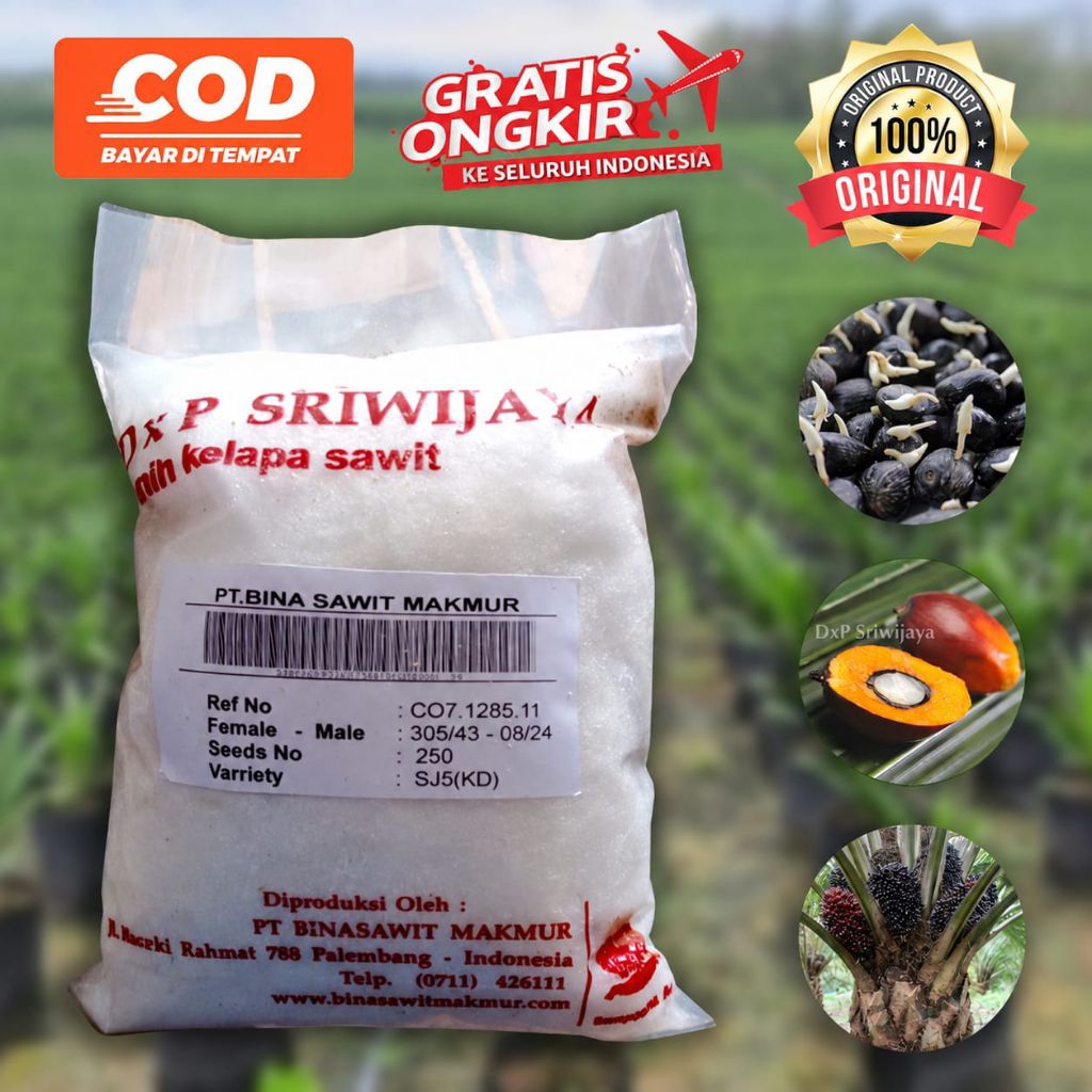 SRIWIJAYA DXP SJ5 UNGGULAN RESMI DAN BERSERTIFIKAT
