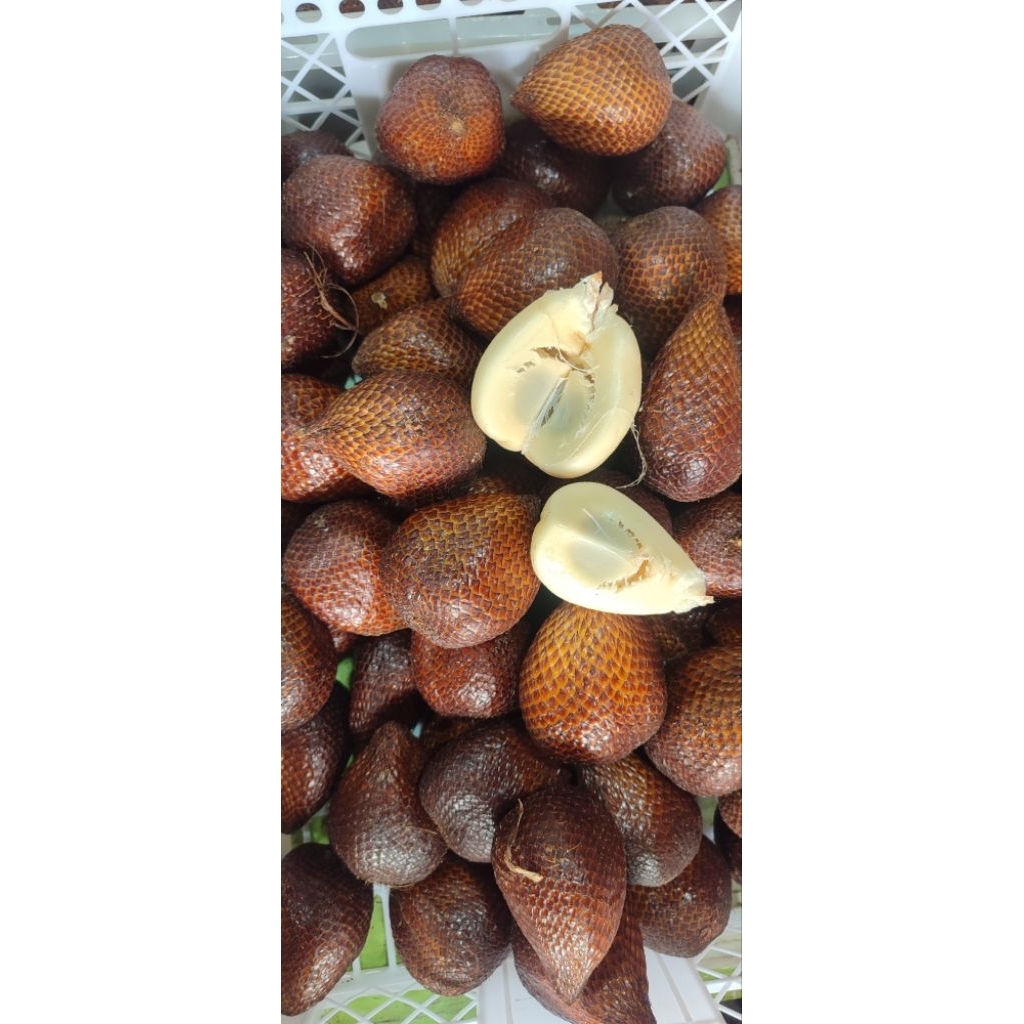 salak Pondoh manis