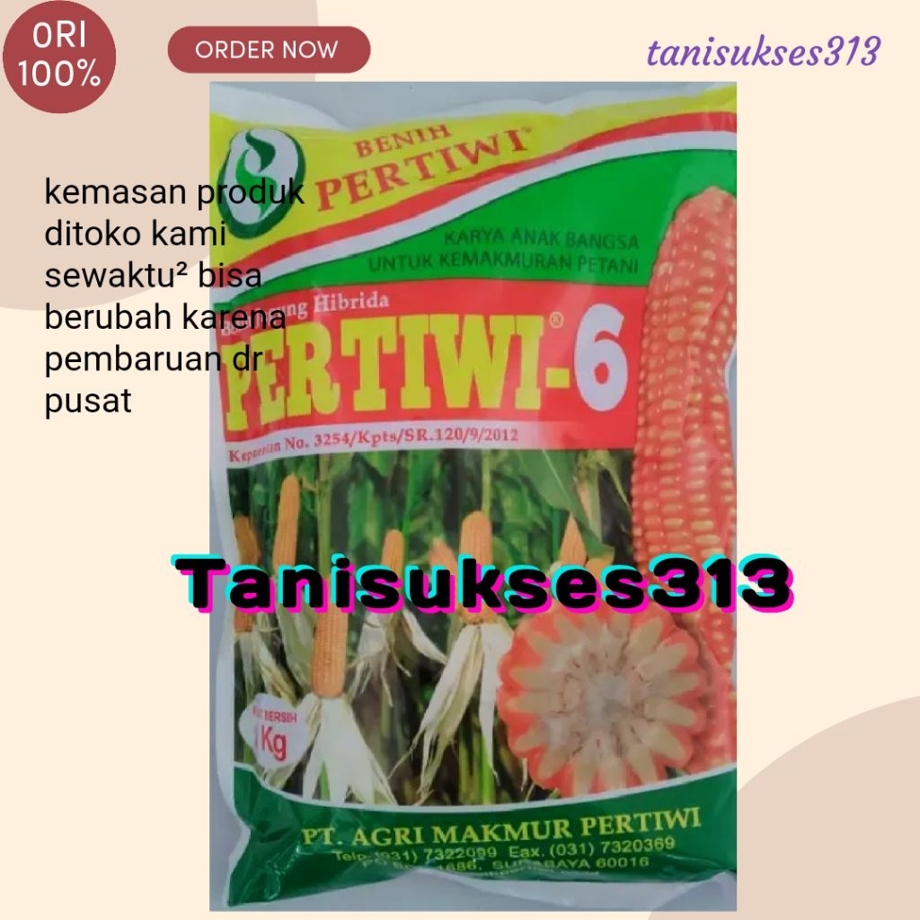 jagung hibrida pertiwi 6 jagung siap tanam pertiwi 6