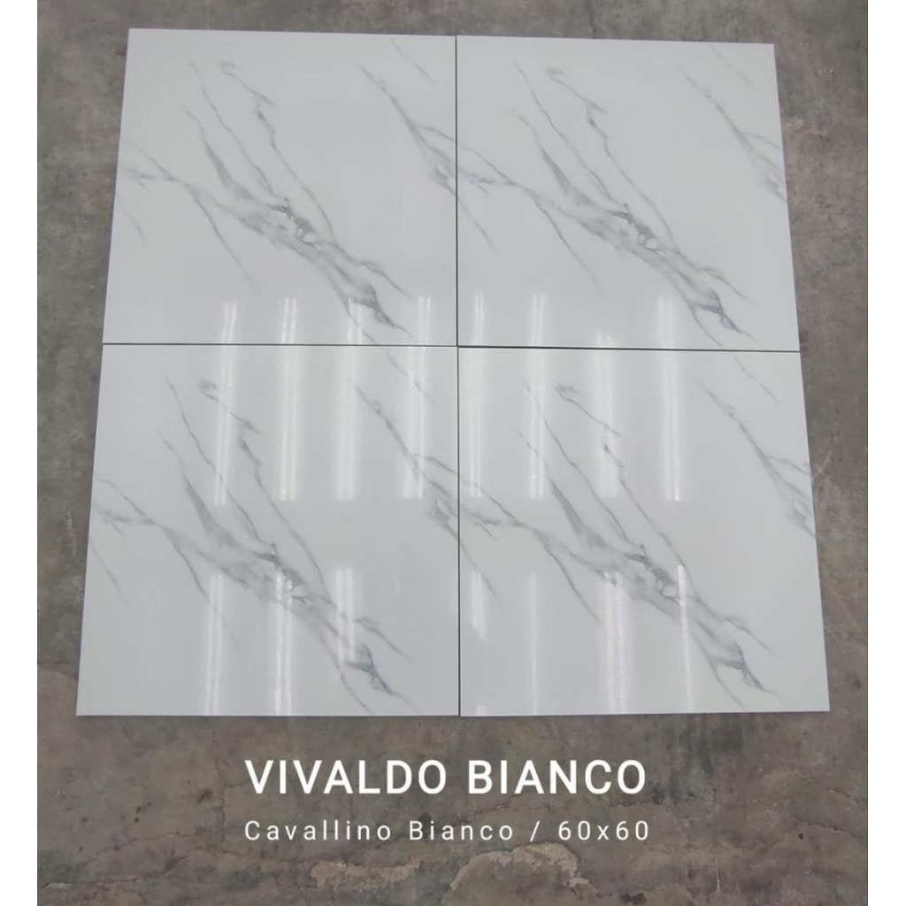 granit glazed polish 60x60 cavalino bianco tipe vivaldo bianco