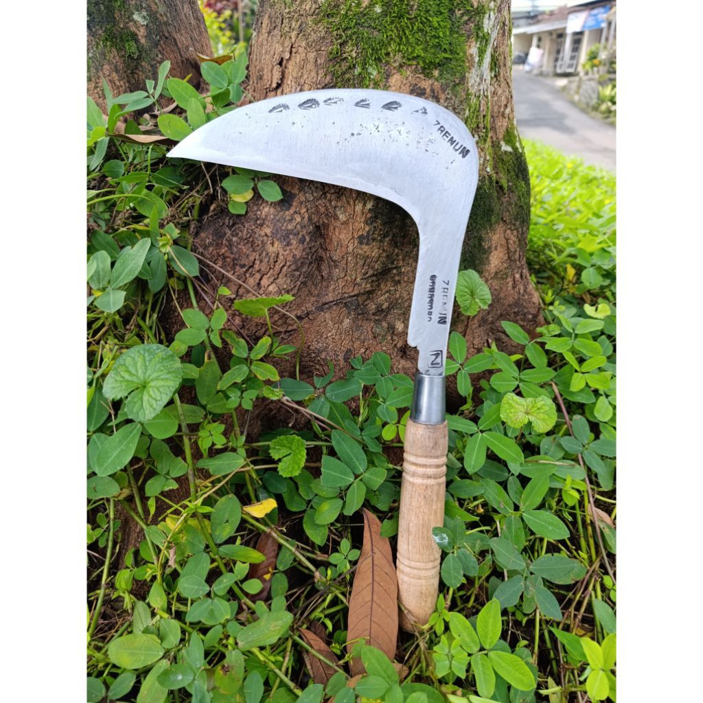 arit rumput baja isen asli wonosobo