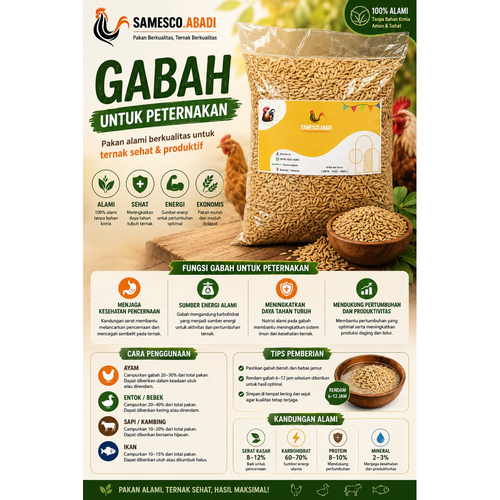 Gabah Pakan Ayam Kemasan 1 Kg || Gabah Kering Berkualitas Tinggi