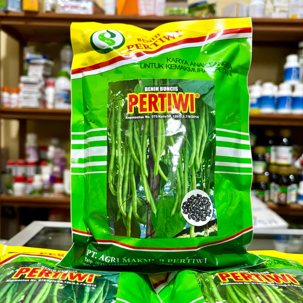 Benih Buncis PERTIWI 500 Gram - Bibit Buncis Unggul Pertiwi 500 Gram