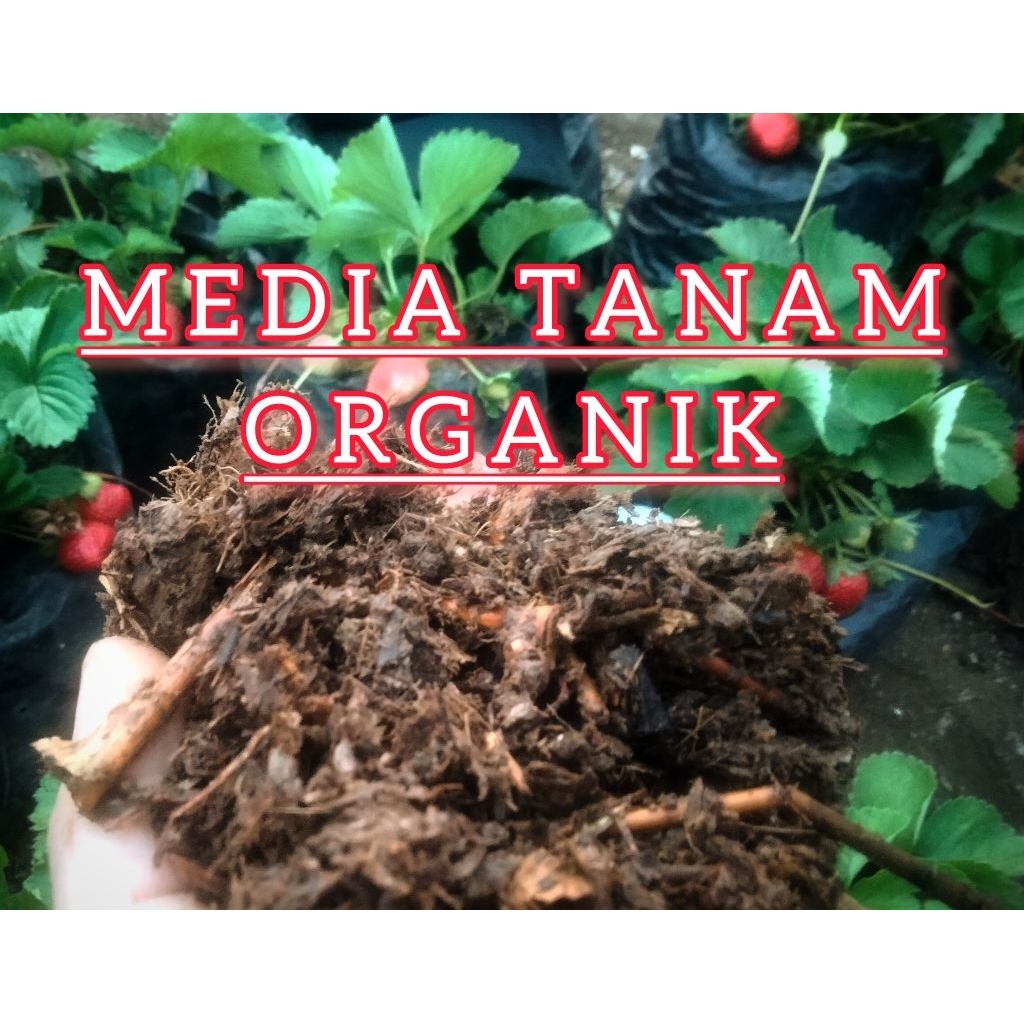Humus Daun Bambu 1 kg - 5Liter Pupuk Organik Alami, Tingkatkan Subur Tanaman