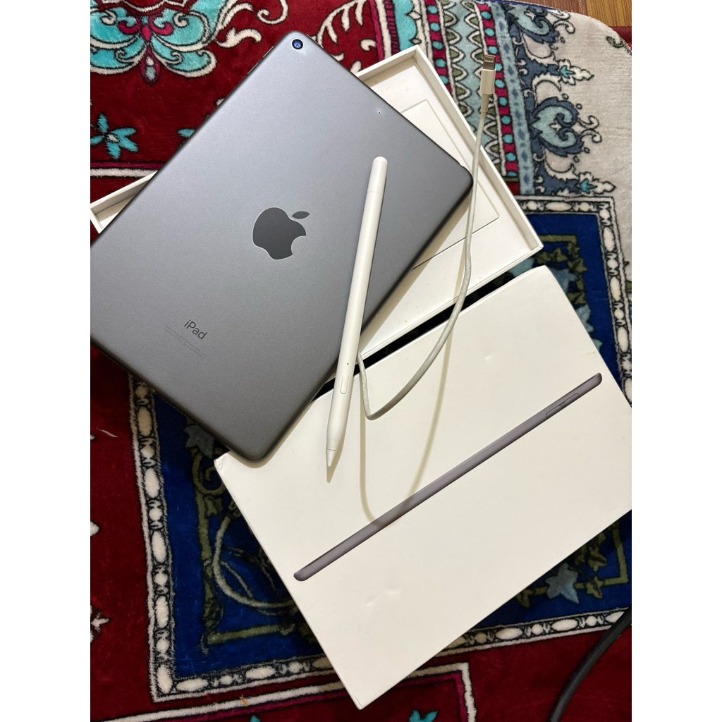 iPad Mini 5 Generation 256 GB