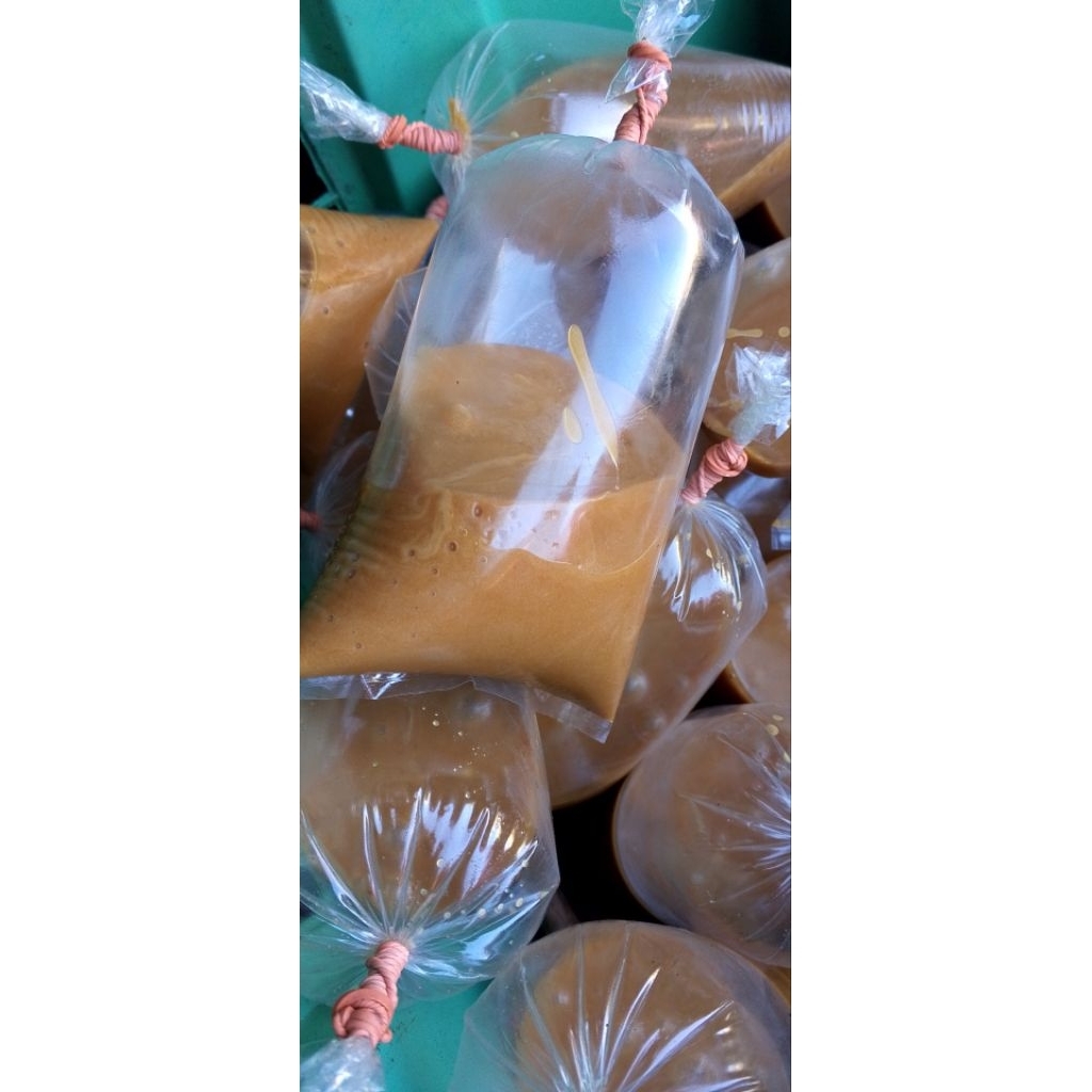 petis asin gurih ikan tuna 1kg