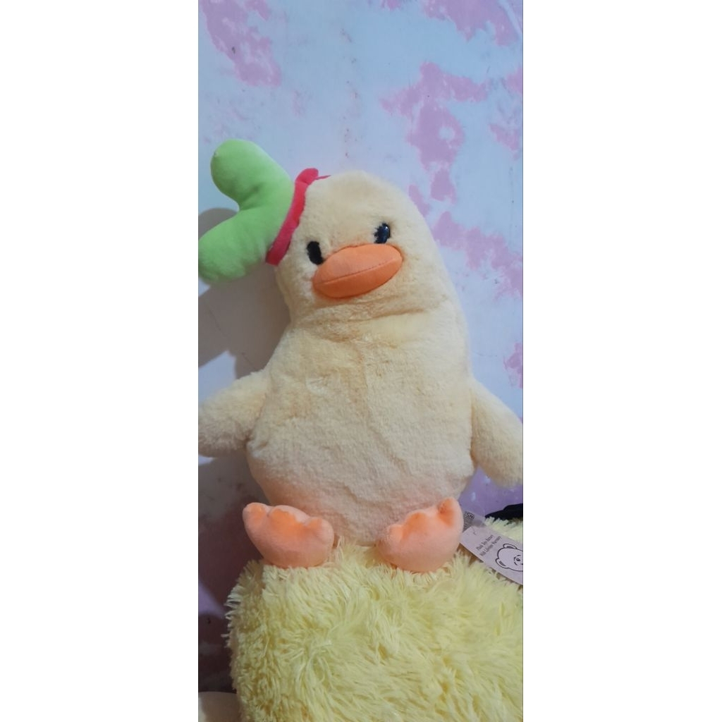 Sway Chicken Istana Boneka