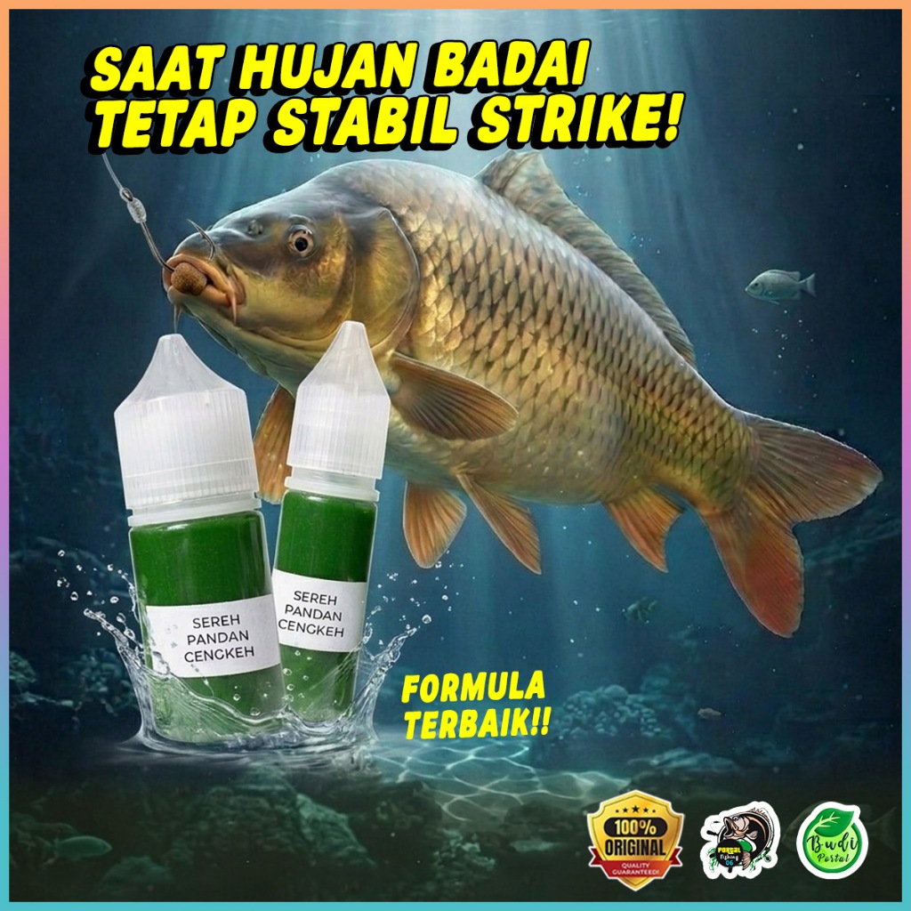 ANTI BONCOS Essen Ikan Mas Sereh Pandan Cengkeh Oplosan Musim Hujan Paling Ampuh dan Jitu