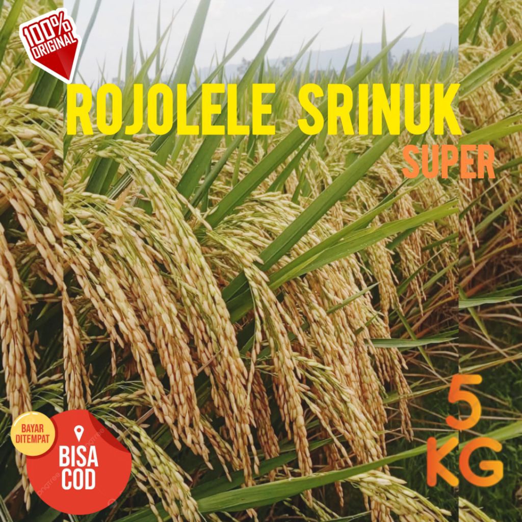 Bibit Padi Rojolele Srinuk Unggul Berkualitas Ultra Super Kemasan 5Kg