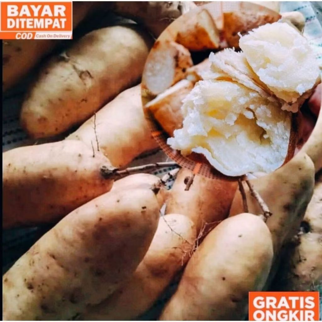 Gembili/Umbi Gembili 1kg(Siap Rebus).