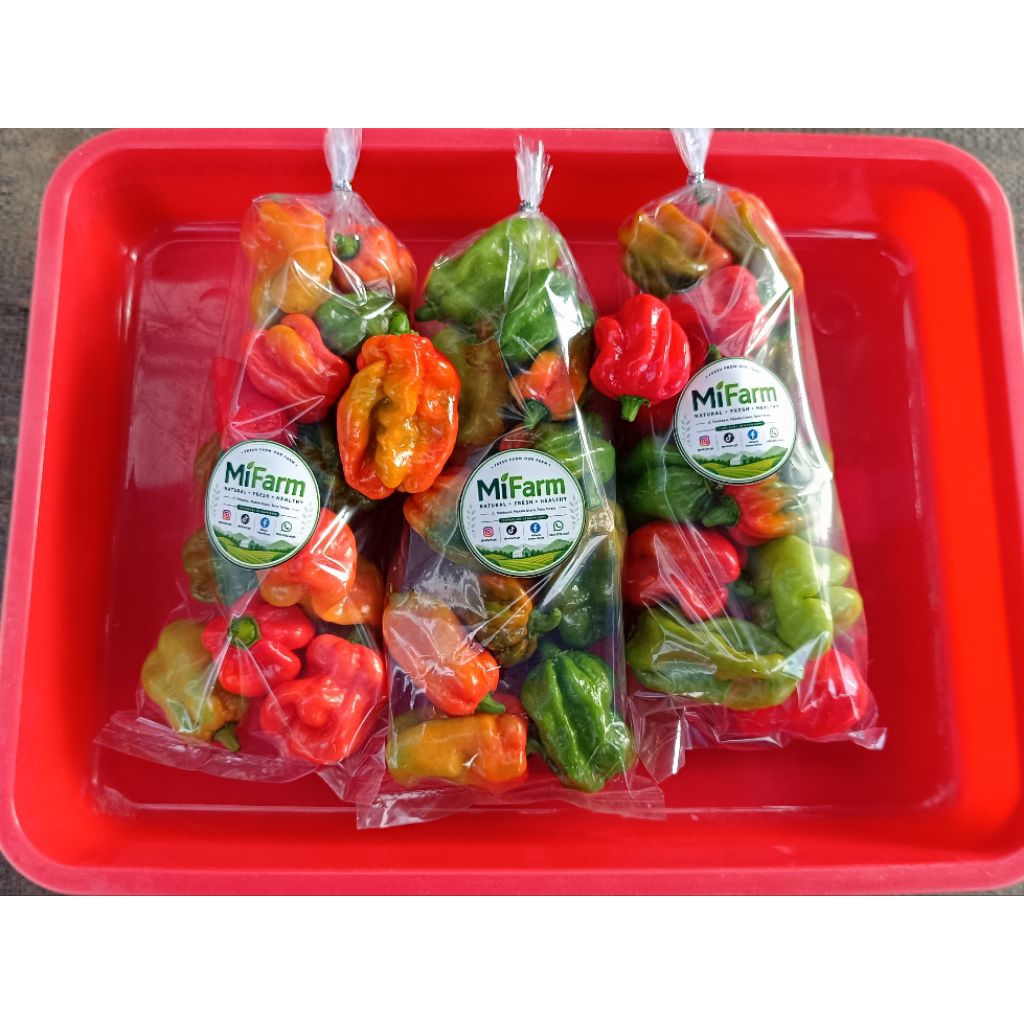 Cabai Katokkon Toraja (130gram)