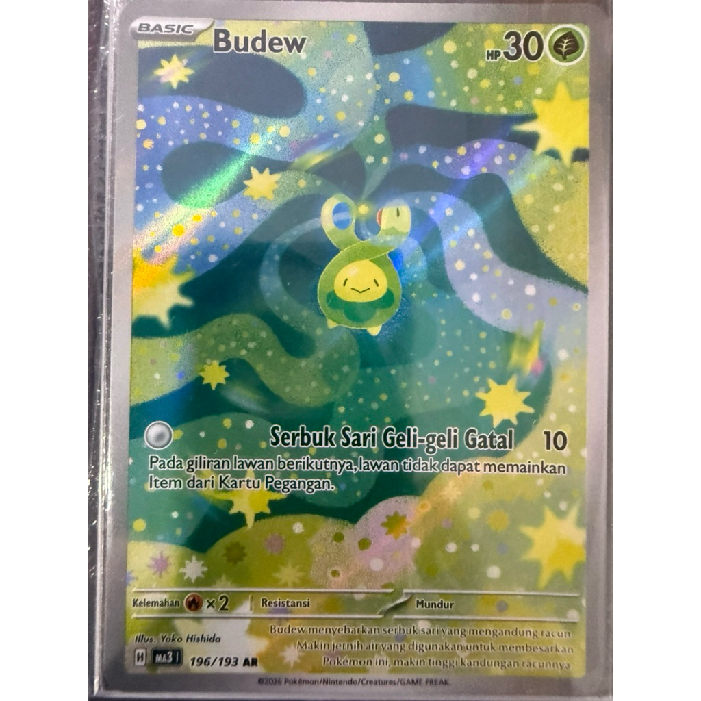 BUDEW AR 196/193