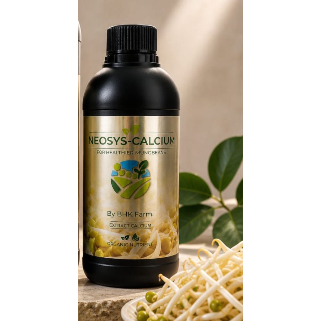 BHK Calcium 500ml
