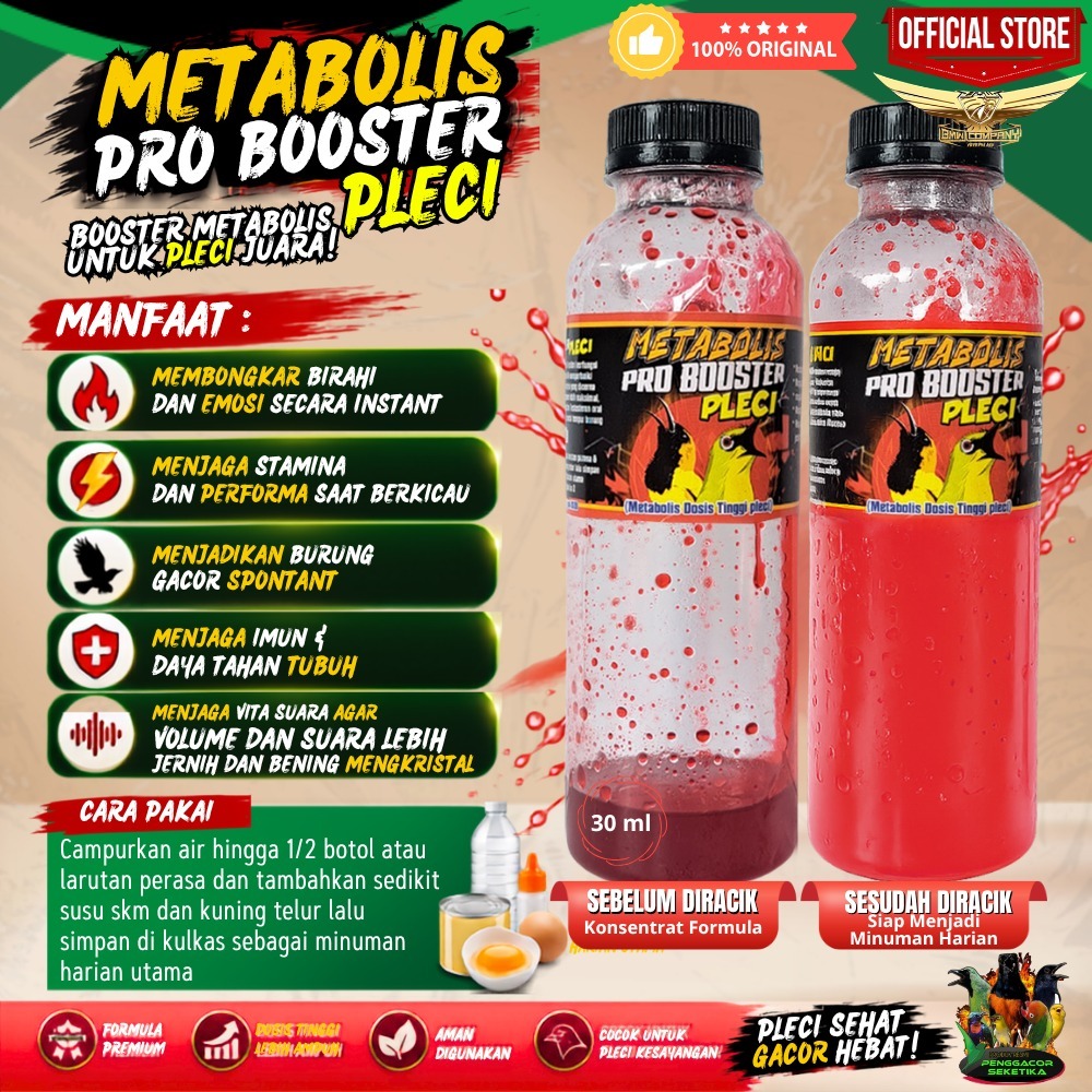 PRO BOOSTER PLECI JUARA Metabolis Dosis Tinggi pleci