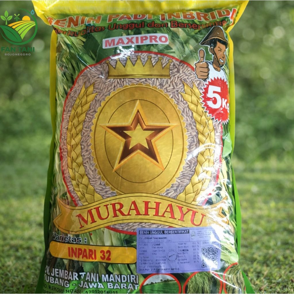 BENIH PADI INPARI 32 MAXIPRO MURAHAYU 5KG - ASLI SUBANG