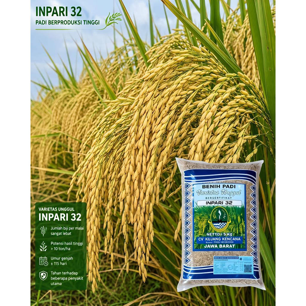 INPARI 32 CAP KUJANG LABEL BIRU