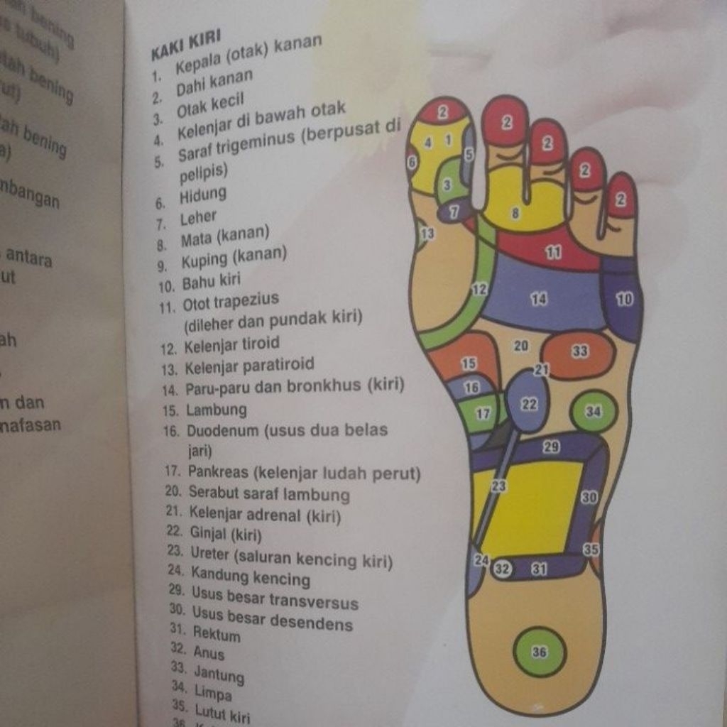 buku akupuntur titik pijat akupuntur