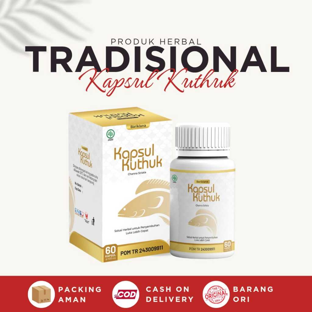 Herbal Tradisional - Kapsul Ikan Kuthuk/Gabus