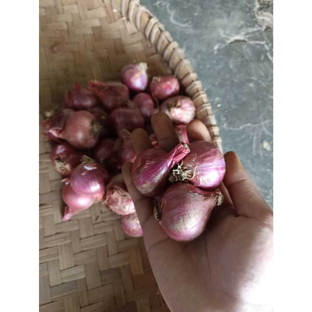 [SUPER] Bawang Merah Lokal Petani Temanggung Ukuran Besar 1 Kg