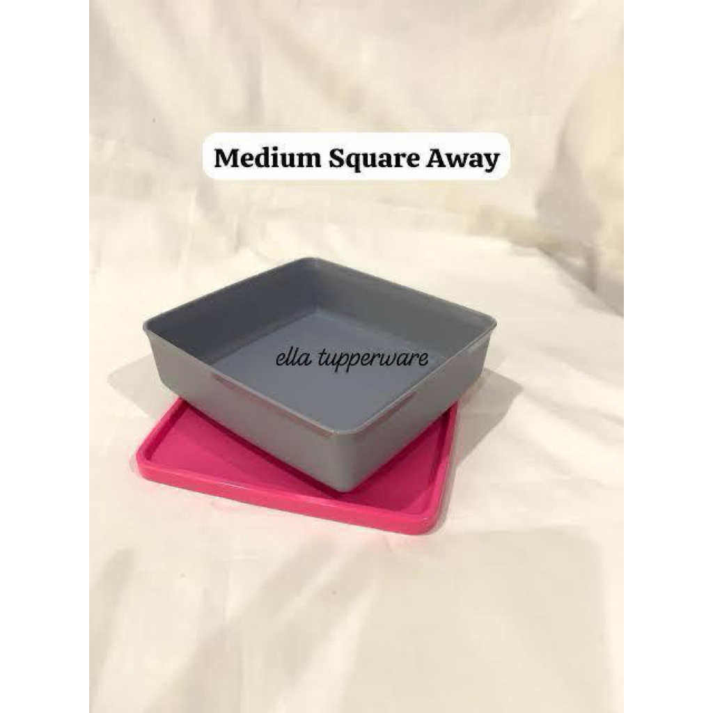 Tupperware medium square away