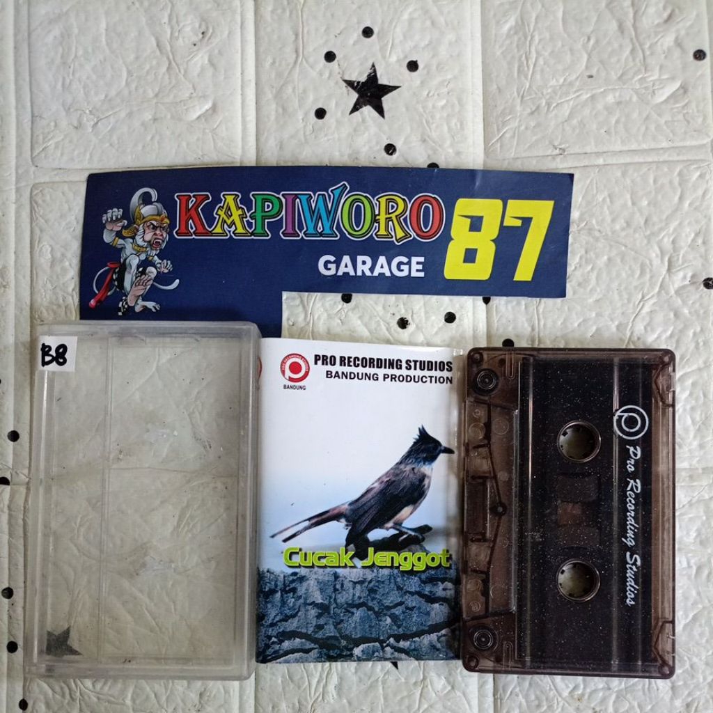 KASET PITA,,,CUCAK JENGGOT